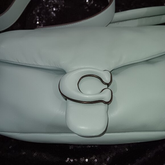 Pillow Tabby 26 Leather Shoulder Bag - Picture 2 of 11